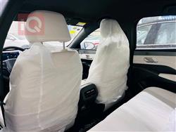 بي واي دي Qin Plus